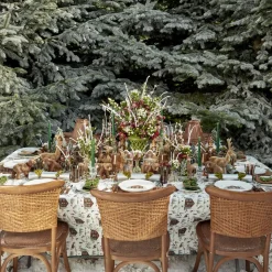Angelina Chestnut & Green Placemats & Napkins (Set of 4)