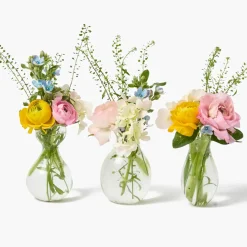 Ava Bud Vase Set