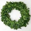 Boxwood Wreath (Large)