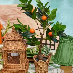 Clementine Tree