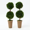 Double Potted Boxwood Balls (Pair)