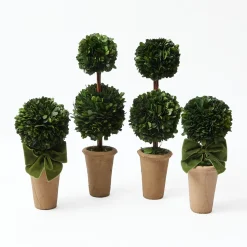 Double Potted Boxwood Balls (Pair)