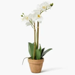 Double Stem Potted Faux Orchid