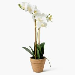 Double Stem Potted Faux Orchid