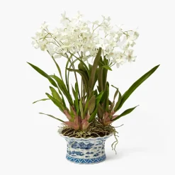 Faux Dancing Lady Orchid in Chinoiserie Planter