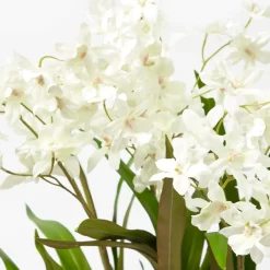 Faux Dancing Lady Orchid in Chinoiserie Planter