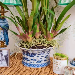 Faux Dancing Lady Orchid in Chinoiserie Planter