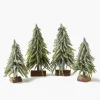 Frosted Fir Tree Family