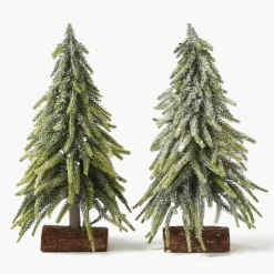 Frosted Fir Tree Family