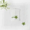 Lily of the Valley White Linen Napkins (Set of 4)