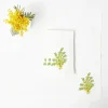 Mimosa White Linen Napkins (Set of 4)