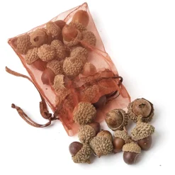 Mrs. Alice Decorative Acorns