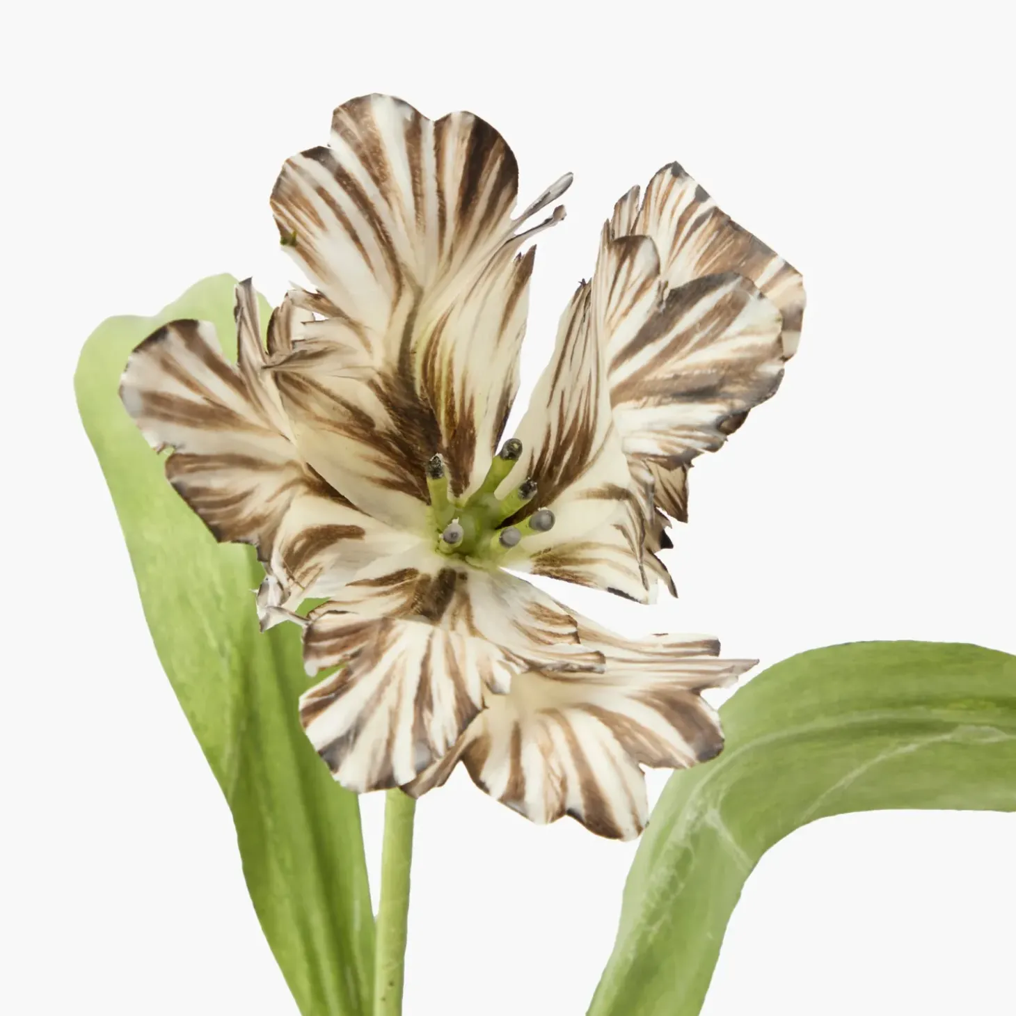Mrs. Alice Handpainted Chocolate Tulip