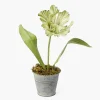 Mrs. Alice Handpainted Green Tulip