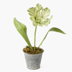 Mrs. Alice Handpainted Green Tulip