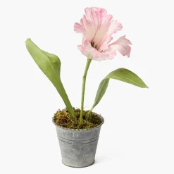 Mrs. Alice Handpainted Pink Tulip