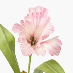 Mrs. Alice Handpainted Pink Tulip