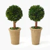 Potted Boxwood Ball (Pair)