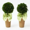 Potted Boxwood Ball with Green Bow (Pair)