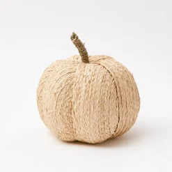Raffia Pumpkin Family