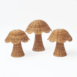 Rattan Mushroom Family