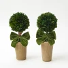 Ribboned Potted Boxwood Ball (Pair)