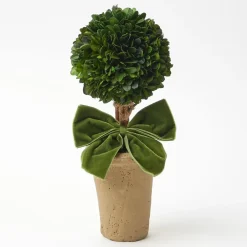 Ribboned Potted Boxwood Ball (Pair)