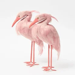 Saskia Stork Family