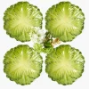 Serena Green Cabbage Starter Plate (Set of 4)