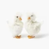 Small Fluffy Goslings (Pair)
