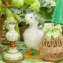 Small Fluffy Goslings (Pair)