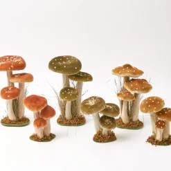 Small Mixed Mushroom Set
