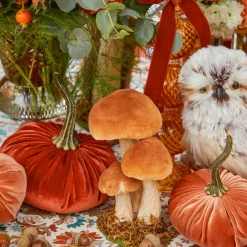 Small Mixed Mushroom Set