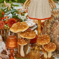 Small Mixed Mushroom Set
