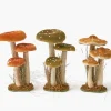 Tall Mixed Mushroom Set