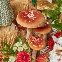 Tall Mixed Mushroom Set